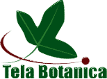 Tela botanica